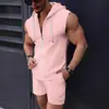 Fábrica de Origem Aliexpress Verão Masculino Jacquard Cor Sólida Listrado Zíper Sem Mangas Com Capuz Conjunto Modelo Novo Transfronteiriço