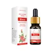 Fragrant Moment Factory Direct 10ml gota solúvel em água lavanda aromaterapia óleo essencial aromaterapia máquina especial