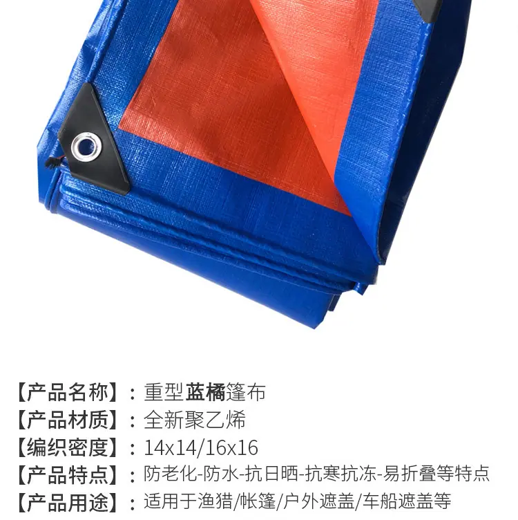 蓝橘切片_13