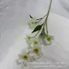 Decoración de Flores Artificiales para Boda 6 Cabezas Flor Mariposa Salón de Bodas Materiales Florales Venta al por Mayor Flor Diente de Perro