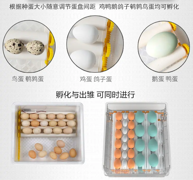 详情3