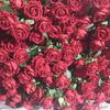 Flanela artificial rosa vermelha única decoração de casa buquê de casamento Dia dos Namorados Dia dos Namorados Chinês rosa flor artificial atacado
