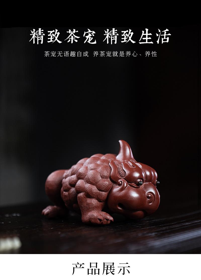 独角福蟾2020906 (30).jpg