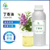 Suministro de Aceite de Clavo, Aceite de Botón de Clavo, Eugenol 85%, Extracto de Planta Aceite Esencial de Clavo, En Stock