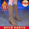 Botas de Tacón Alto, Nuevo Estilo Otoño e Invierno Punta Fina Tacón Grueso Botas Ajustadas Forradas de Lana Versátiles Cálidas Elegantes Botas Martin para Mujer