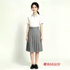 Falda midi plisada para mujer, de cintura alta, que cubre la cadera, falda plisada versátil de color liso para primavera y otoño, ropa de mujer en stock