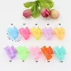 Pinza para el pelo de flor mini de 2,5 cm transfronteriza, pinza para el pelo de flor pequeña de color PS, pinza para el pelo macarrón, pinza para el pelo de gelatina