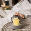 Velas Eletrônicas para Comemorar o Falecimento de Animais de Estimação, Luz de Longa Duração para Gatos e Cachorros, Suporte de Exibição com Pegadas Estilo Europeu, Placa Memorial
