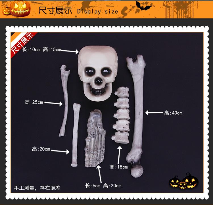 万圣仿骨头描述1_03