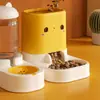 Set Dispensador Automático de Comida y Agua para Gatos Grande 2 L Comedero y Bebedero, Sin Desorden, Duradero y Fácil de Limpiar