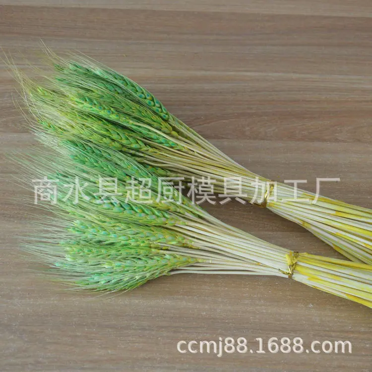 麦穗彩-(22)