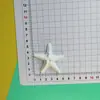 Accesorios Grandes de Resina de Concha y Estrella de Mar Imanes para Nevera DIY Decoraciones para Fundas de Teléfono Hebillas para Zapatos DIY Transfronterizo