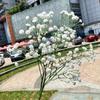2023 Coreano Blanco Pequeño Estilo Fresco Flores de Boda Venta al por Mayor Decoración Suave Decoración de Salón de Bodas Flores Artificiales Recomendado