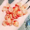 Accesorios para Joyería DIY de Flor de Rosa, Pétalos de Vidrio, Pasadores de Estilo Antiguo, Adornos con Cuentas de Hojas, Materiales al por Mayor