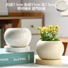 Vaso de Cerâmica para Flores com Prato, Estilo Ins de Luxo Leve, Diâmetro Grande, Estilo Creme, para Orquídeas e Suculentas, Liquidação