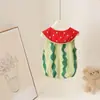 Macacão de Bebê, Estilo Verão Fino, Macacão com Alça para Bebê, Roupa para Ar Condicionado, Macacão de Engatinhar, Roupa de Verão Super Fofa de Melancia
