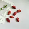 Pendientes de Planta Fruta Bellota Hechos a Mano DIY Fruta Pendientes Personalizados Creativos Material Chica Linda Pendientes Retro
