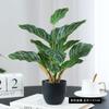 Amazon Plantas Verdes Simuladas Perennes En Maceta Flores de Plástico Adornos Decorativos de Pie para Escritorio en Casa Plantas Verdes Falsas