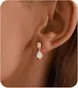 Brincos de Zircônia Brilhantes Exquisitos da Moda Nova Tendência de Venda Quente Transfronteiriça Brincos Versáteis para Mulheres Atacado do Fabricante