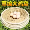 Nido de Maíz para Palomas, Nido de Hojas de Maíz para Poner Huevos, Caja Nido Lateral para Palomas de Competición, Envío Gratis, Nido Anti-Paloma para Incubar, Barato