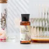 Fábrica de Escovas de Dente e Pentes Descartáveis para Hotéis e Pousadas Venda Direta Atacado Suprimentos para Hotéis Artigos de Higiene Pessoal e Conjuntos de Cuidados