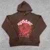 Sudadera con capucha para hombre de algodón puro con forro polar y estampado de telaraña Sp5Der