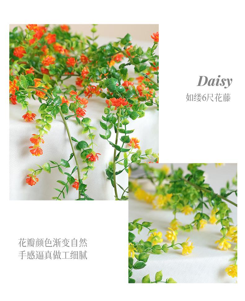 如缕6尺花藤_08.jpg