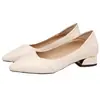 Zapatos de Mujer con Punta Fina y Tacón Grueso, Nuevo Modelo Otoño 2026, Cuero Suave Cómodo de Tacón Bajo, No Cansan para Estar de Pie Mucho Tiempo, Zapatos de Trabajo Profesionales