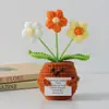 Flor de Tricô de Energia Positiva Transfronteiriça Planta em Vaso Produto Acabado Fio de Lã Flor de Simulação Ornamento de Mesa Boneca de Cartão de Mão