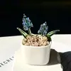 Enfeites de Vidro Zibo, Plantas Suculentas em Vasos, Plantas Verdes de Vidro, Presentes de Flores de Dezembro, Artesanato para Decoração de Escritório