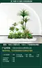Set de Paisajismo Simulado para Exhibidores de Ventanas Interiores, Decoración de Escaleras, Paisaje de Plantas Verdes Simuladas, Arreglo de Jardín, Adornos de Decoración de Plantas en Maceta