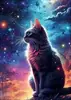 Nuevo Pintura de Diamantes 5D Mundo Animal Colorido DIY Pintura Decorativa de Diamantes Completos Fabricante Mayorista de Suministro Transfronterizo de Amazon