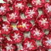 Lentejuelas Perlas Flores de 2 cm Accesorios de Decoración DIY Piezas Hechas a Mano Perlas Brillantes Lentejuelas Flores Flores para Zapatos Hechas a Mano