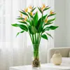 Ave del Paraíso Planta Hidropónica Planta Verde Planta de Interior en Maceta Sala de Estar Oficina Escritorio Bonsái Strelitzia Es Fácil de Mantener en Todas las Estaciones