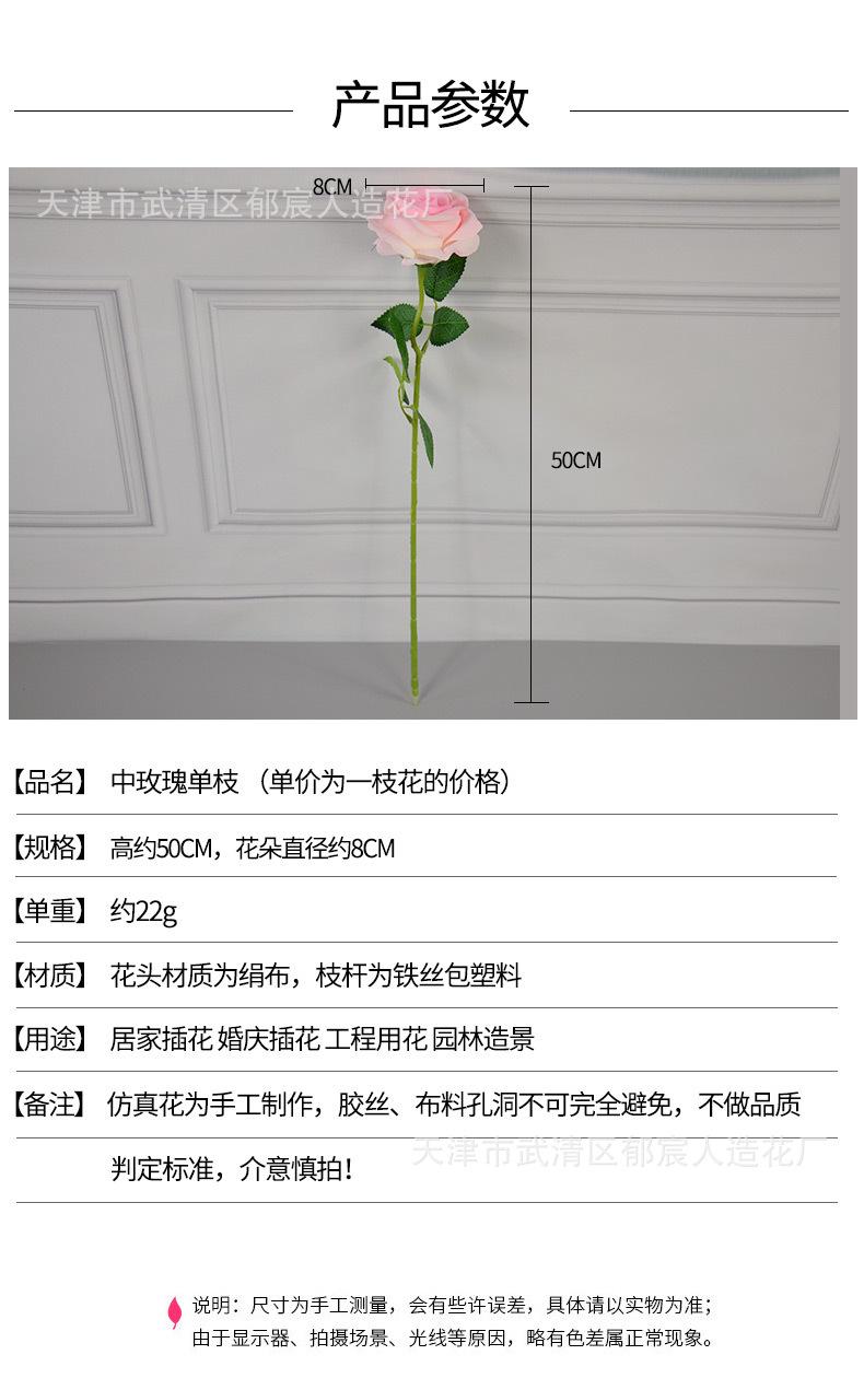 详情_01.jpg