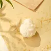 Accesorios para Pulseras de Cuentas DIY con Agujero Pasante para Tallado de Fruta de Marfil Flor de Loto Cabeza de León Cacahuete Dibujo Animado Fruta de Marfil