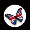 Adecuado para Mini Cooper Luz de Bienvenida Lámpara de Proyección Modificación LED Decorativa Láser Luz de Puerta