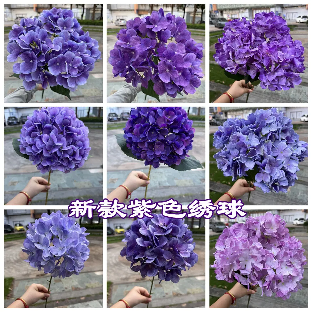 微信图片_20250725190219_4666_副本_副本