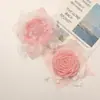 Retro Nuevo Chinoiserie Malla Seca Encaje Rosa DIY Hecho a Mano Elegante Broche para Dama Ropa Zapatos y Calcetines Accesorios
