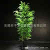 Planta en maceta hojas de helecho maceta bonsái plástico Hierba Persa árbol árbol artificial