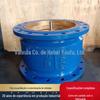 Válvula de Retenção Silenciadora com Flange Hc41X-16 Personalizada de Fábrica Silenciador Válvula de Retenção Unidirecional Vertical e Horizontal Dn 50 100 150