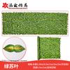 Malla para Valla de Patio Exterior, Decoración de Hojas Artificiales Verdes, Valla Retráctil para Jardín, Pantalla de Hojas Artificiales para Valla