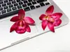 Pinza para el Cabello de Orquídea Cymbidium Artificial Individual para Vacaciones en la Costa, Pinza para el Cabello con Lazo Fresco y Dulce para el Flequillo