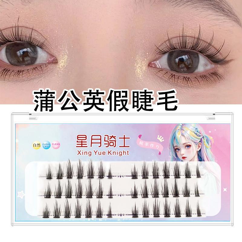 蒲公英2