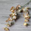 Flor Simulada Redonda Eucalipto Hoja de Dinero Flor Falsa Cinta Manzana 3D Eucalipto Planta Simulada Material de Hoja de Gama Alta