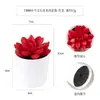 Más de 100 Tipos de Combinaciones de Plantas Suculentas Mini de Plástico Simuladas en Maceta, Mini Bonsáis Suculentos Más Vendidos Transfronterizos, Decoración para el Hogar, Adornos Creativos