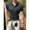 Camiseta de Manga Corta con Cuello de Gaviota Estilo Old Money para Hombre, Fresca para el Verano, Cuello Polo, Corte Casual, Camiseta de Media Manga