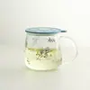 Taza de Té de Vidrio, Taza, Taza con Separador de Té y Agua con Asa y Tapa, Taza Doméstica de Alto Borosilicato