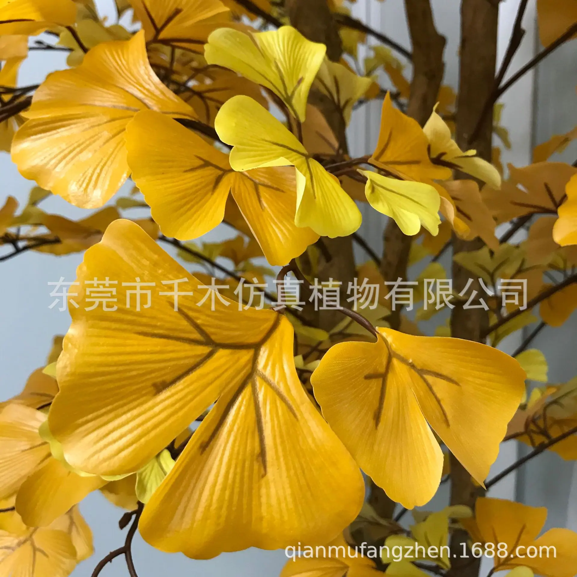 微信图片_2021052809445318