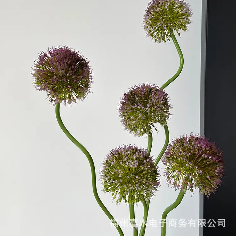 photo-output_1 3.JPG